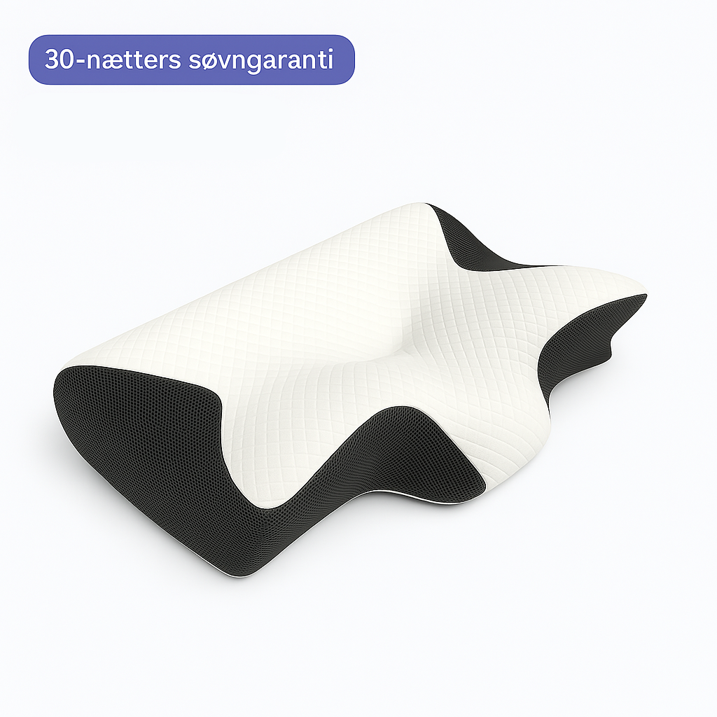 Ergo Pillow